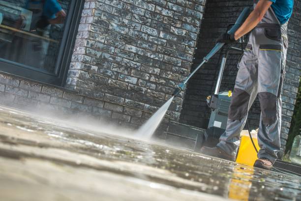 Best Fence Cleaning  in Svis, IL