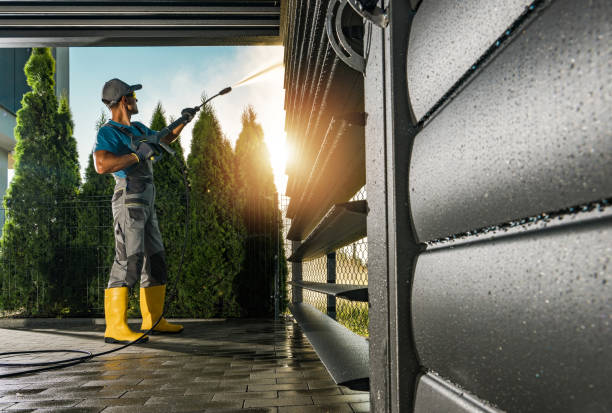 Best House Exterior Washing  in Svis, IL